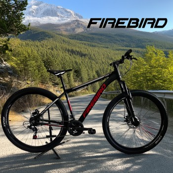Bicicleta FireBird R29 Aluminio II