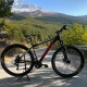 Bicicleta FireBird R29 Aluminio II